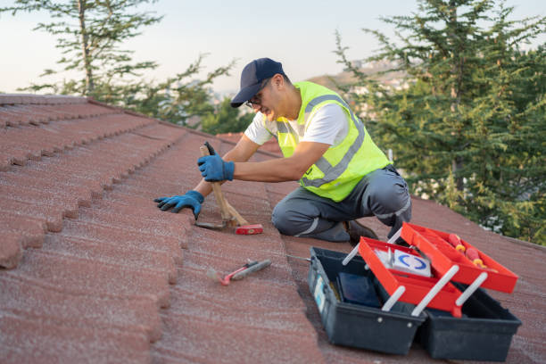 Best Rubber Roofing (EPDM, TPO)  in Kingsley, IA